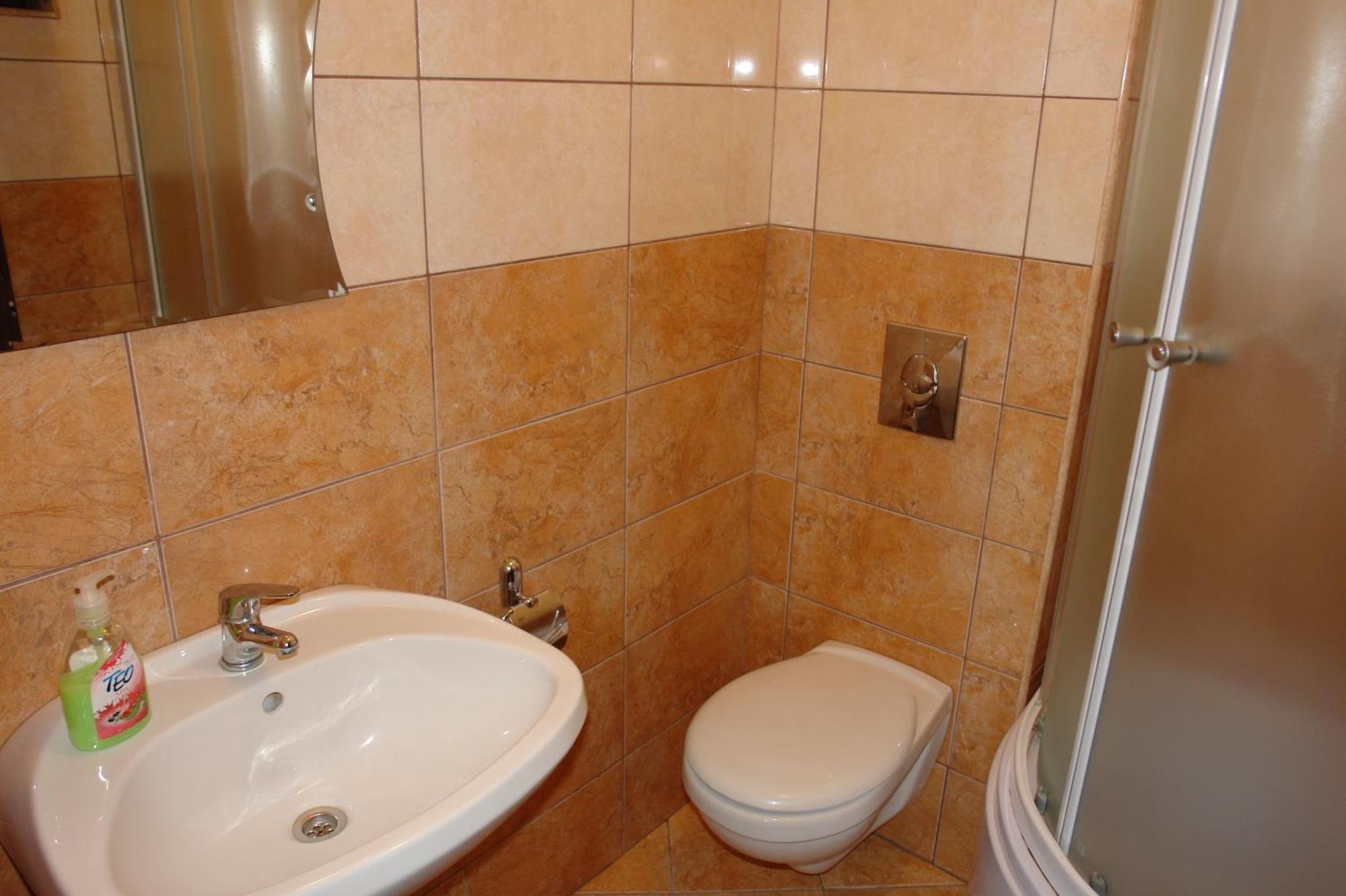 Vila Tineretului Satu Mare Zewnętrze zdjęcie